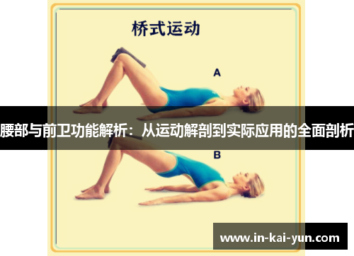 腰部与前卫功能解析:从运动解剖到实际应用的全面剖析 腰部与前卫功能解析:从运动解剖到实际应用的全面剖析
