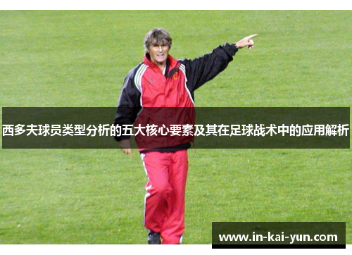 西多夫球员类型分析的五大核心要素及其在足球战术中的应用解析