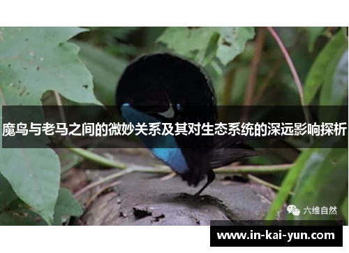 魔鸟与老马之间的微妙关系及其对生态系统的深远影响探析 魔鸟与老马之间的微妙关系及其对生态系统的深远影响探析